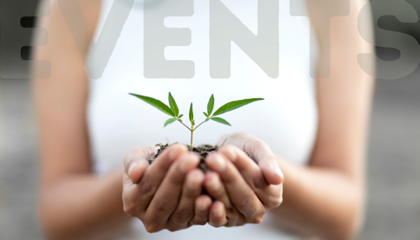 A woman in a white top holds out in her hands a sprouting sapling in a handful of earth