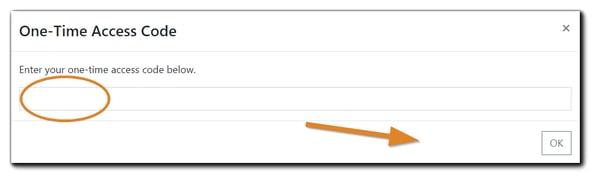 Screenshot: One-Time Access Code prompt.