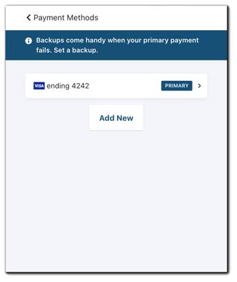 Screenshot: Payment methods update/add new.