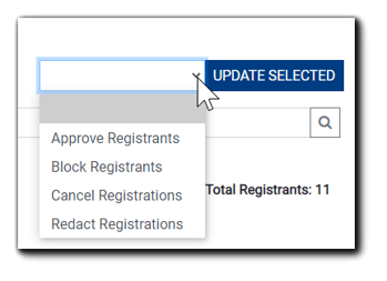 Screenshot: Update Selected drop-down menu with options shown.