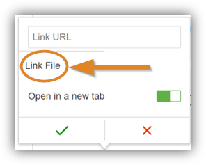 Screenshot: Link URL dialog with Link File function highlighted.