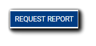 Screenshot: Blue 'Request Report' button.