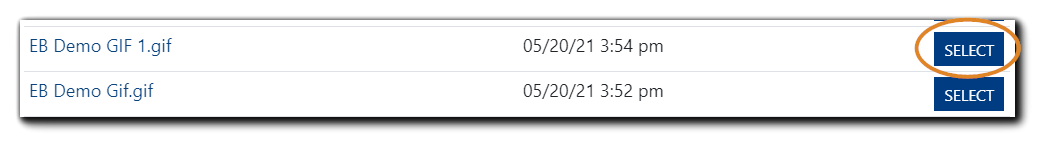 Screenshot: File Selection dialog with file name EB Demo GIF 1,gif and the Select button highlighted.