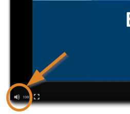 Screenshot: Lower left corner of the viewing console with the volume icon highlighted.